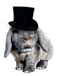Humbug Bunny on White, 2020