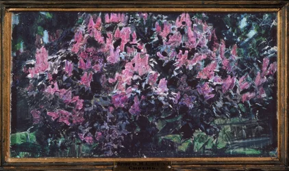 Lilac