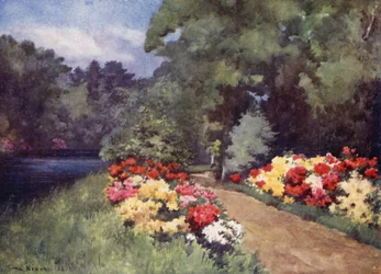 Azaleas, Het Loo