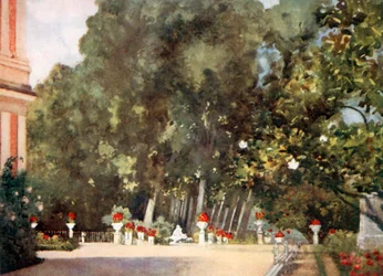 The Magnolia Tree, Aranjuez