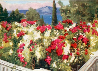 The Rose Pergola, the Achilleion, Corfu