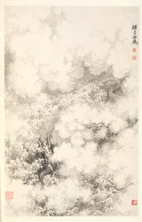 Dragon amid Clouds