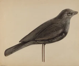 Decoy (Gull)