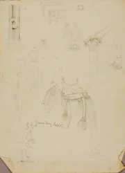 Dromedary Saddle/Studies