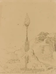 Oak Tree on Mount Sinai