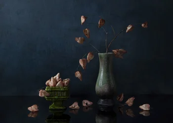 Dark Botanical Still Life