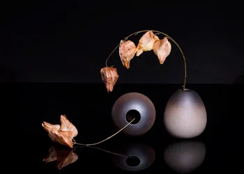 Dried Chinese Lanterns