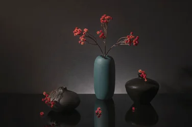 Elegant Red Berries Still Life
