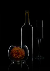 Elegant Wine and Rose
