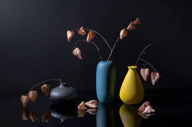 Modern Botanical Vases