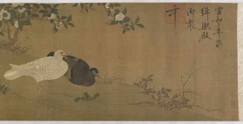 Camelias, Pigeons and Song Birds