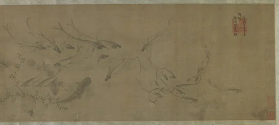 Fish and Water Weeds