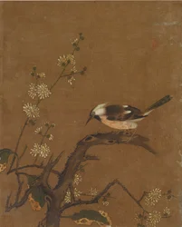 Ten pictures of birds and flowers
