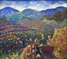 The Harvest in Chakva sovkhoz