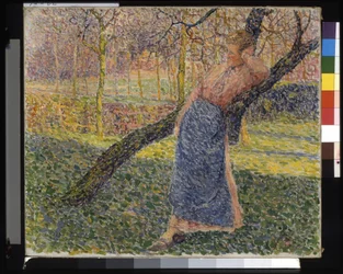 Woman In A Meadow