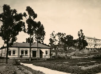 Building an Empire in the Fascist age: circle of officials at Asmara