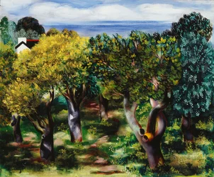 Landscape in Sanary