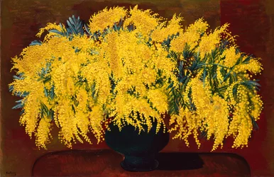Mimosas