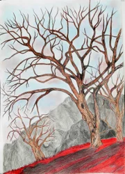 The Last Leaf