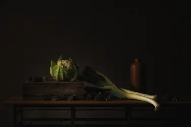 Dark Harvest Still Life