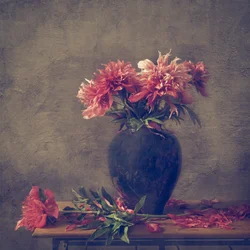 Moody Peony Still Life