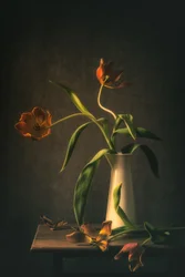 Moody Tulip Still Life