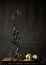 Rustic Kohlrabi Still Life