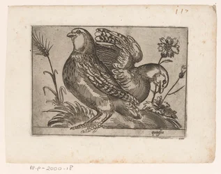 Two Quails