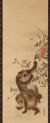 Monkeys and Roses