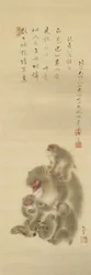 Monkeys