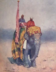 An Elephant from the Sandy Wastes of Rajputana