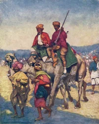 Camels from Mysore, 1903