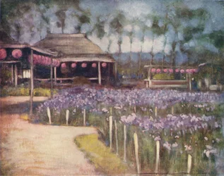 Iris Garden, c1887, 1901