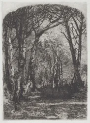 Woods
