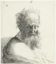 Head of an Old Man