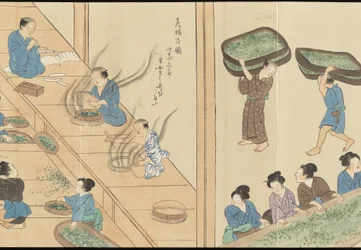 Illustrations of Uji Tea Production