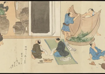 Illustrations of Uji Tea Production