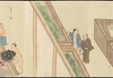 Illustrations of Uji Tea Production