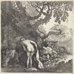 Bathing Woman Seen from Behind