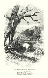 William Wordsworth: The White Doe of Rylstone