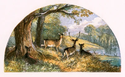 Illustration for 