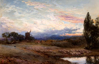 Sheep Watering at Sunset