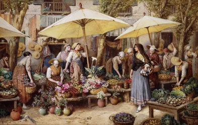 The Flower Market, Toulon