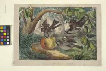 The Disputed Prize