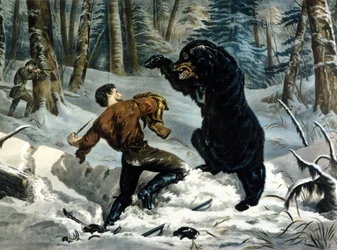 The Life of Trappers in Canada: A Hunter is attacked by a Grizzly Bear. Illustration by Yves and Currier.