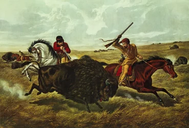Life on the Prairie - the Buffalo Hunt, 1862