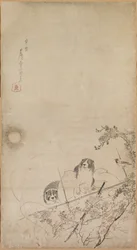 Puppies, Sparrows and Chrysanthemums