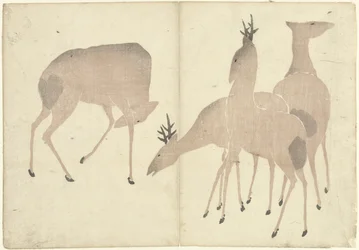 Four Deer