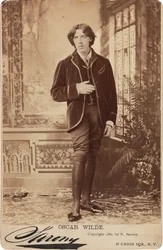 Portrait of Oscar Wilde, 1854-1900, 1882