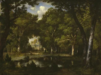 Pond in the Woods